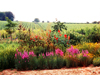 F�rbegarten