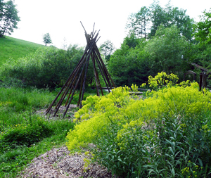 Gemeinschaftsgarten
