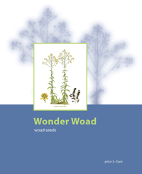 Folding card with woad seeds Folding card with woad seeds