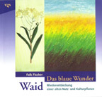 The blue wonder woad