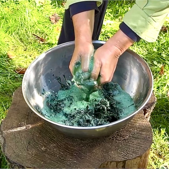 Arbeitsschritte | Blauf�rberei mit frischen Waidbl�ttern