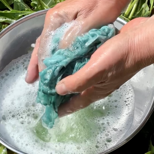 Arbeitsschritte | Blauf�rberei mit frischen Waidbl�ttern