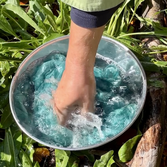 Arbeitsschritte | Blauf�rberei mit frischen Waidbl�ttern