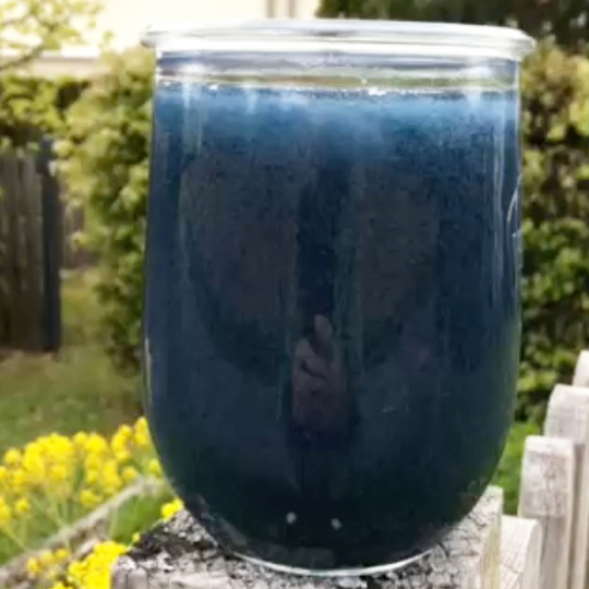 Waidindigo
